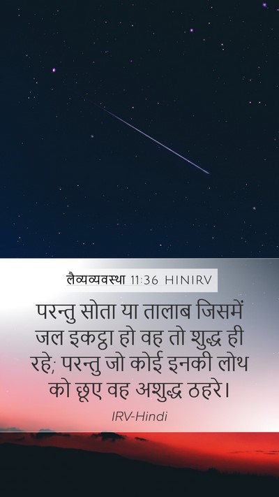 लैव्यव्यवस्था 11:36 HINIRV Mobile Phone Wallpaper - परन्तु सोता या - Mobile Bible Verse Wallpaper