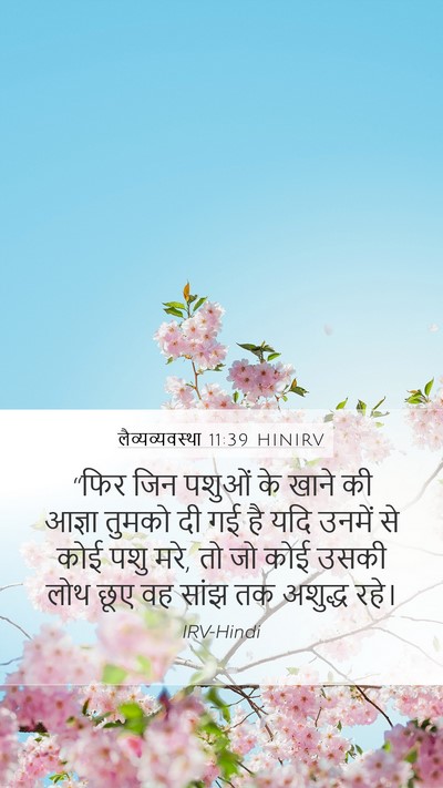 लैव्यव्यवस्था 11:39 HINIRV Bible Verse Image