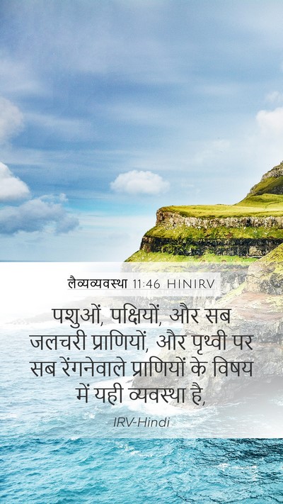 लैव्यव्यवस्था 11:46 HINIRV Bible Verse Image