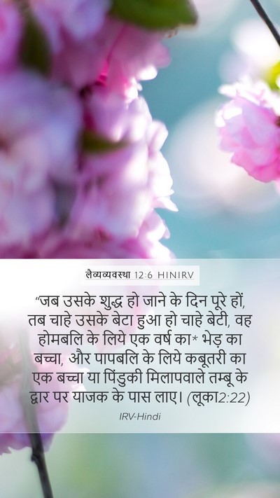 लैव्यव्यवस्था 12:6 HINIRV Bible Verse Image