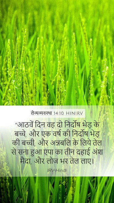 लैव्यव्यवस्था 14:10 HINIRV Bible Verse Image