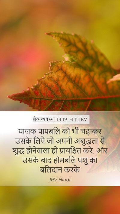 लैव्यव्यवस्था 14:19 HINIRV Bible Verse Image