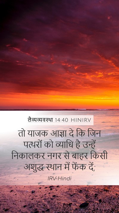 लैव्यव्यवस्था 14:40 HINIRV Bible Verse Image