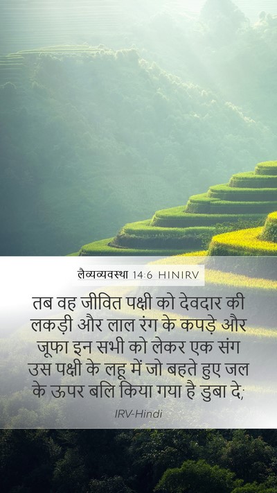 लैव्यव्यवस्था 14:6 HINIRV Bible Verse Image