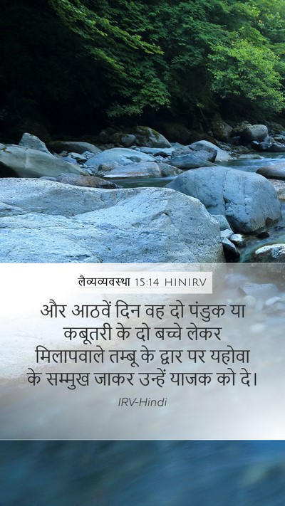 लैव्यव्यवस्था 15:14 HINIRV Bible Verse Image
