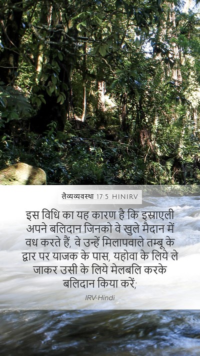 लैव्यव्यवस्था 17:5 HINIRV Mobile Phone Wallpaper - इस विधि का यह कारण - Mobile Bible Verse Wallpaper
