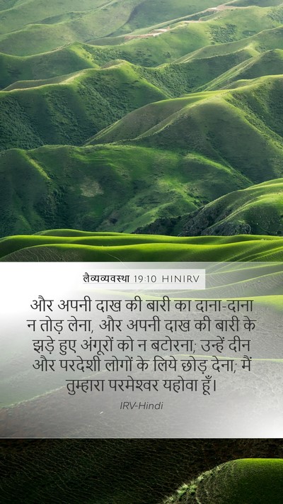 लैव्यव्यवस्था 19:10 HINIRV Bible Verse Image