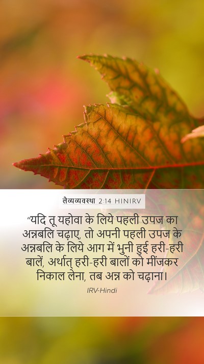 लैव्यव्यवस्था 2:14 HINIRV Bible Verse Image
