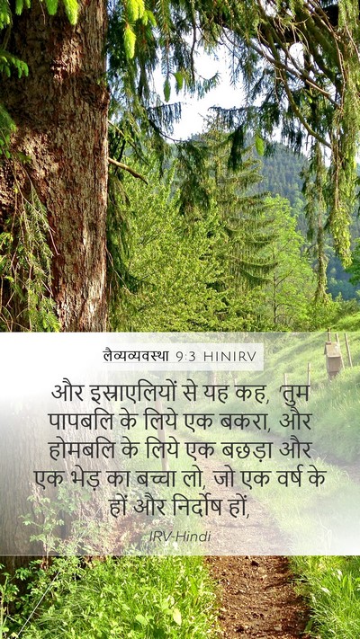 लैव्यव्यवस्था 9:3 HINIRV Mobile Phone Wallpaper - और इस्राएलियों से - Mobile Bible Verse Wallpaper