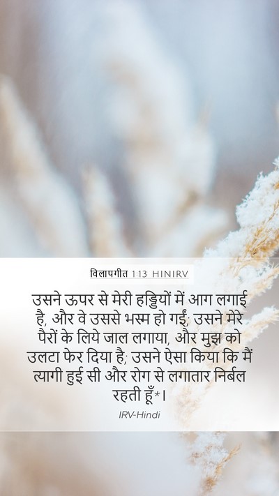 विलापगीत 1:13 HINIRV Bible Verse Image