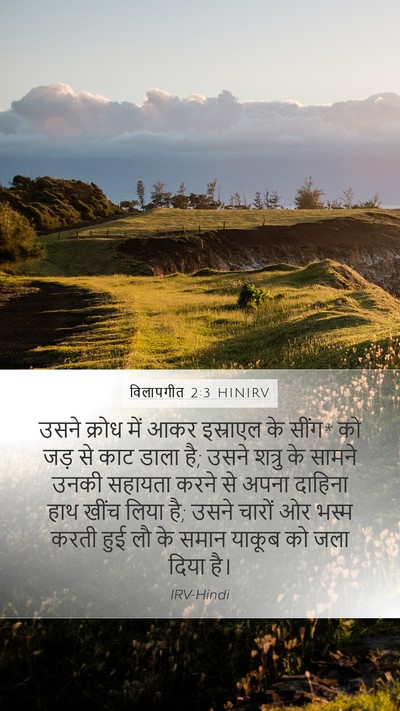 विलापगीत 2:3 HINIRV Bible Verse Image