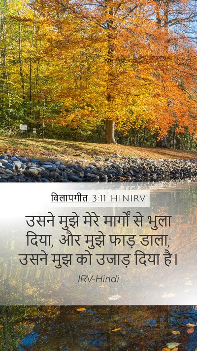 विलापगीत 3:11 HINIRV Mobile Phone Wallpaper - उसने मुझे मेरे - Mobile Bible Verse Wallpaper