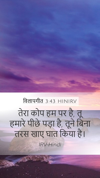 विलापगीत 3:43 HINIRV Bible Verse Image