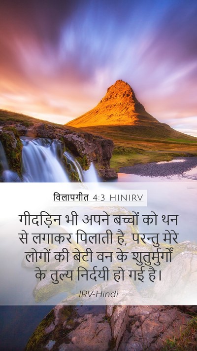 विलापगीत 4:3 HINIRV Bible Verse Image