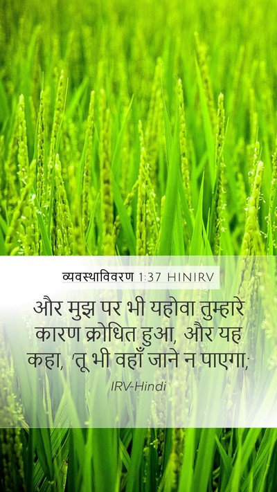 व्यवस्थाविवरण 1:37 HINIRV Bible Verse Image