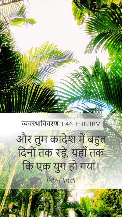 व्यवस्थाविवरण 1:46 HINIRV Mobile Phone Wallpaper - और तुम कादेश में - Mobile Bible Verse Wallpaper