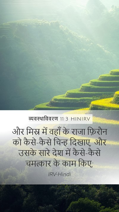 व्यवस्थाविवरण 11:3 HINIRV Mobile Phone Wallpaper - और मिस्र में वहाँ - Mobile Bible Verse Wallpaper