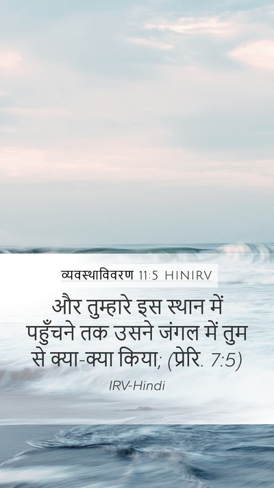 व्यवस्थाविवरण 11:5 HINIRV Mobile Phone Wallpaper - और तुम्हारे इस - Mobile Bible Verse Wallpaper