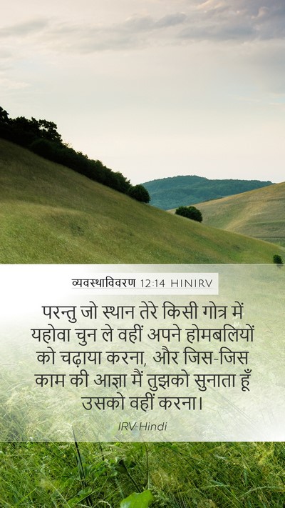 व्यवस्थाविवरण 12:14 HINIRV Bible Verse Image