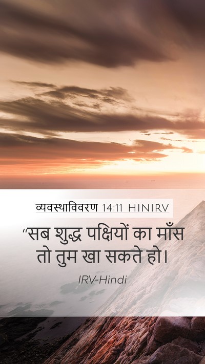 व्यवस्थाविवरण 14:11 HINIRV Mobile Phone Wallpaper - “सब शुद्ध - Mobile Bible Verse Wallpaper
