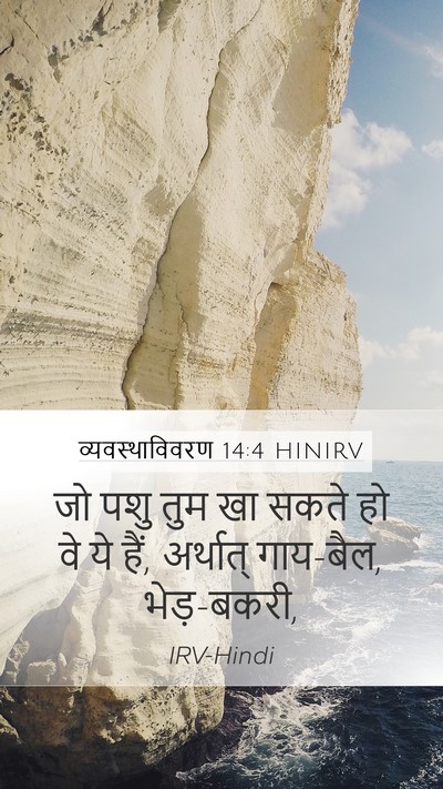 व्यवस्थाविवरण 14:4 HINIRV Mobile Phone Wallpaper - जो पशु तुम खा सकते - Mobile Bible Verse Wallpaper