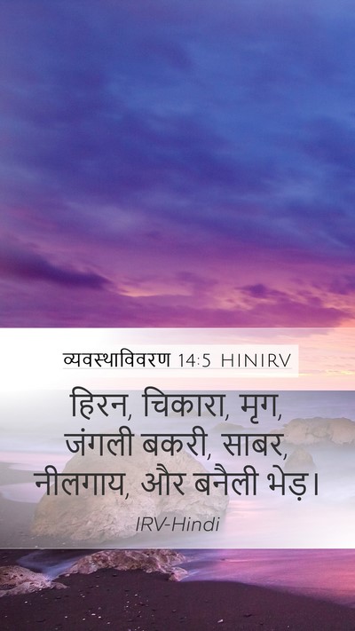 व्यवस्थाविवरण 14:5 HINIRV Mobile Phone Wallpaper - हिरन, चिकारा, मृग, - Mobile Bible Verse Wallpaper