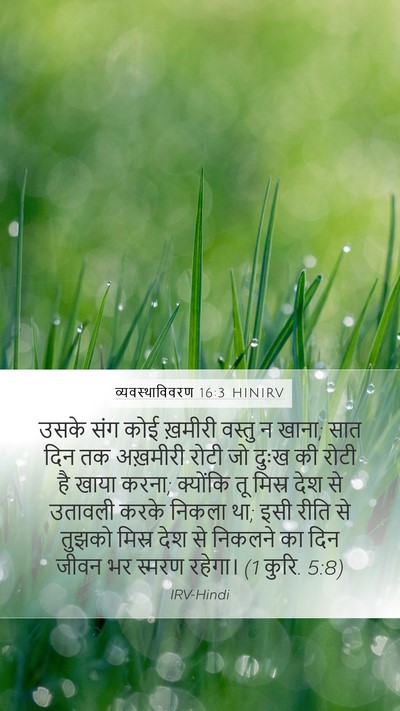 व्यवस्थाविवरण 16:3 HINIRV Bible Verse Image
