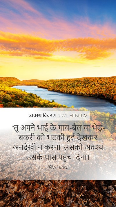 व्यवस्थाविवरण 22:1 HINIRV Mobile Phone Wallpaper - “तू अपने भाई के - Mobile Bible Verse Wallpaper