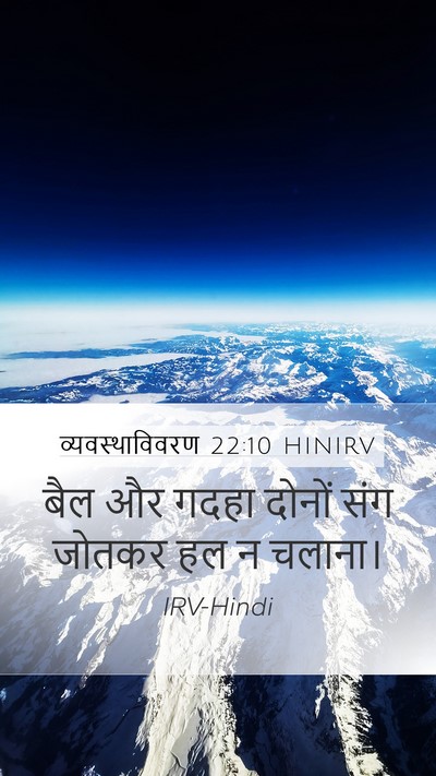 व्यवस्थाविवरण 22:10 HINIRV Mobile Phone Wallpaper - बैल और गदहा दोनों - Mobile Bible Verse Wallpaper