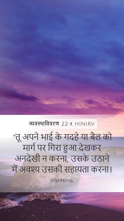 व्यवस्थाविवरण 22:4 HINIRV Mobile Phone Wallpaper - “तू अपने भाई के - Mobile Bible Verse Wallpaper