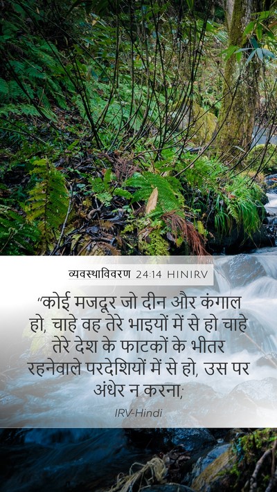 व्यवस्थाविवरण 24:14 HINIRV Bible Verse Image