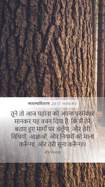 व्यवस्थाविवरण 26:17 HINIRV Bible Verse Image
