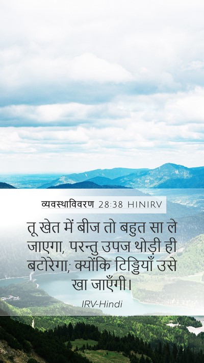 व्यवस्थाविवरण 28:38 HINIRV Bible Verse Image