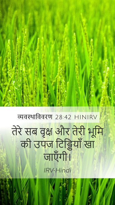 व्यवस्थाविवरण 28:42 HINIRV Bible Verse Image