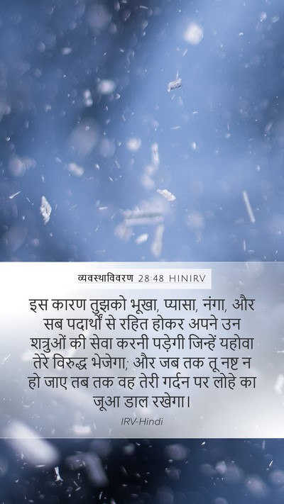 व्यवस्थाविवरण 28:48 HINIRV Bible Verse Image