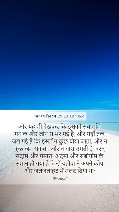 व्यवस्थाविवरण 29:23 HINIRV Bible Verse Image