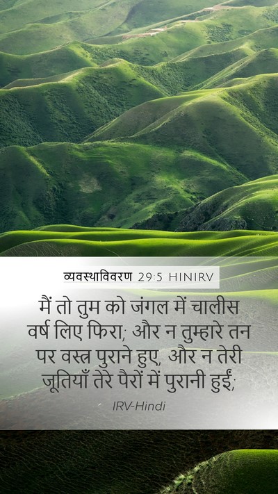 व्यवस्थाविवरण 29:5 HINIRV Bible Verse Image