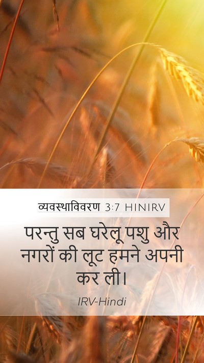 व्यवस्थाविवरण 3:7 HINIRV Mobile Phone Wallpaper - परन्तु सब घरेलू - Mobile Bible Verse Wallpaper