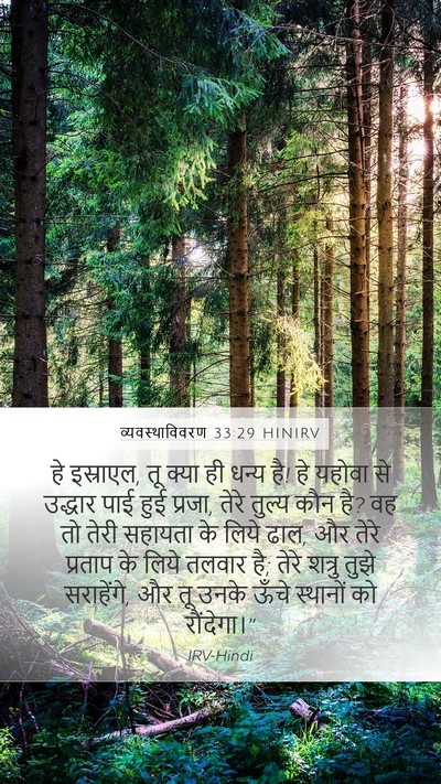 व्यवस्थाविवरण 33:29 HINIRV Bible Verse Image
