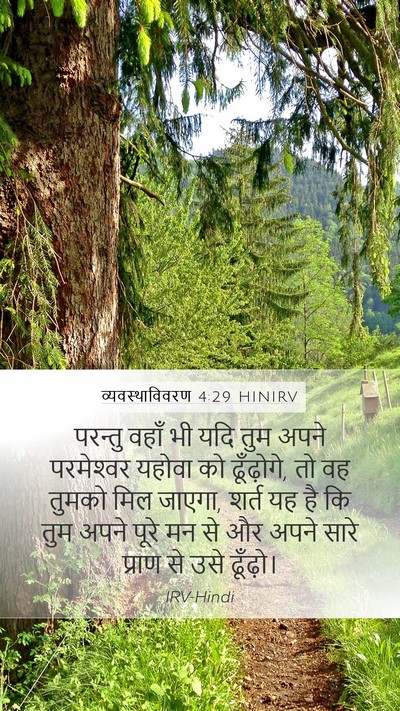 व्यवस्थाविवरण 4:29 HINIRV Bible Verse Image