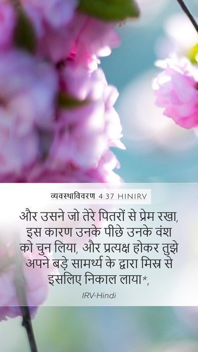 व्यवस्थाविवरण 4:37 HINIRV Bible Verse Image