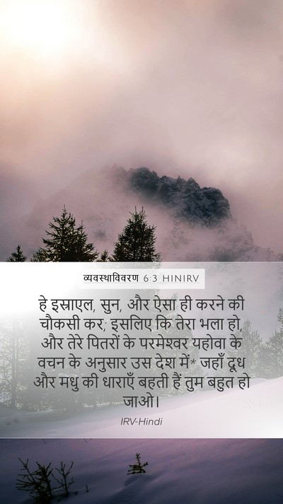 व्यवस्थाविवरण 6:3 HINIRV Bible Verse Image