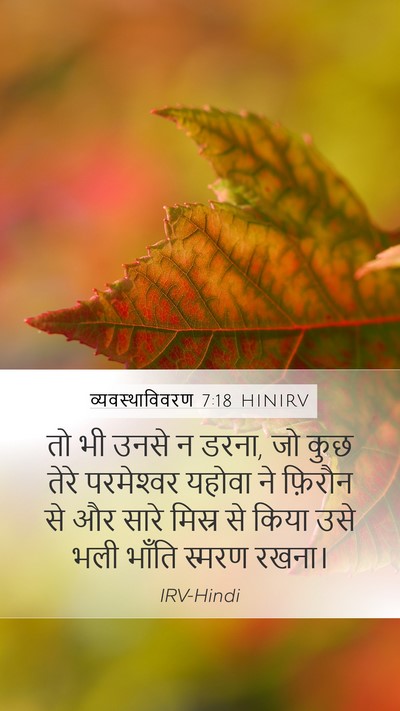 व्यवस्थाविवरण 7:18 HINIRV Bible Verse Image