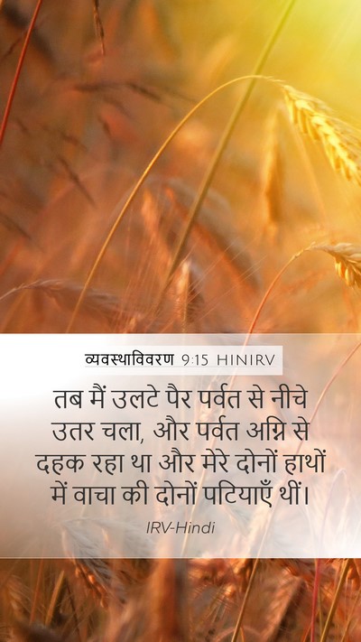 व्यवस्थाविवरण 9:15 HINIRV Bible Verse Image