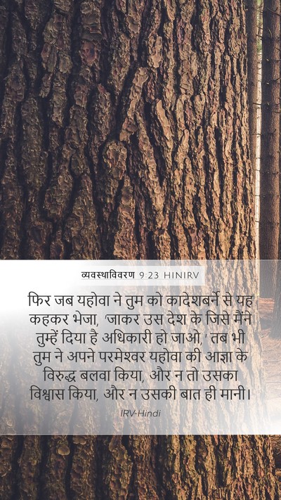 व्यवस्थाविवरण 9:23 HINIRV Bible Verse Image