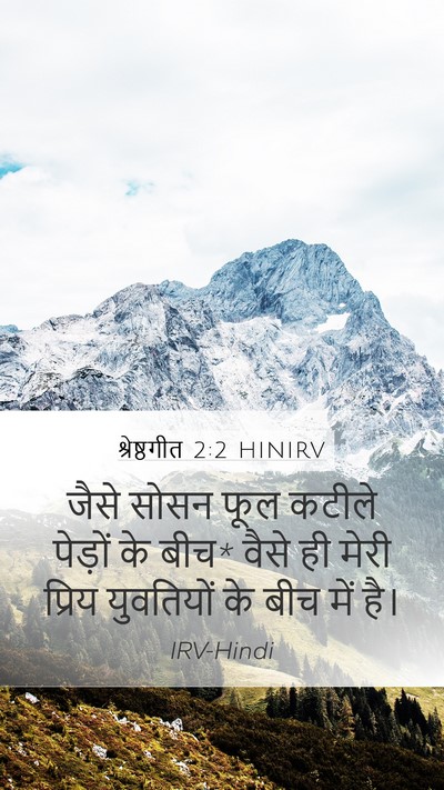 श्रेष्ठगीत 2:2 HINIRV Bible Verse Image