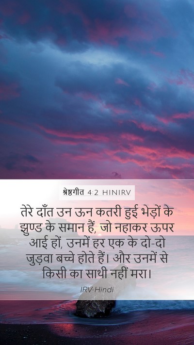 श्रेष्ठगीत 4:2 HINIRV Mobile Phone Wallpaper - तेरे दाँत उन ऊन - Mobile Bible Verse Wallpaper