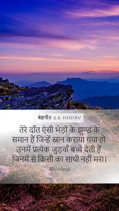 श्रेष्ठगीत 6:6 HINIRV Bible Verse Image