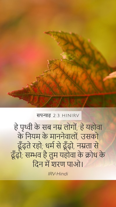 सपन्याह 2:3 HINIRV Bible Verse Image