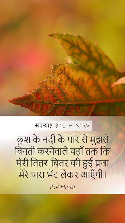सपन्याह 3:10 HINIRV Bible Verse Image
